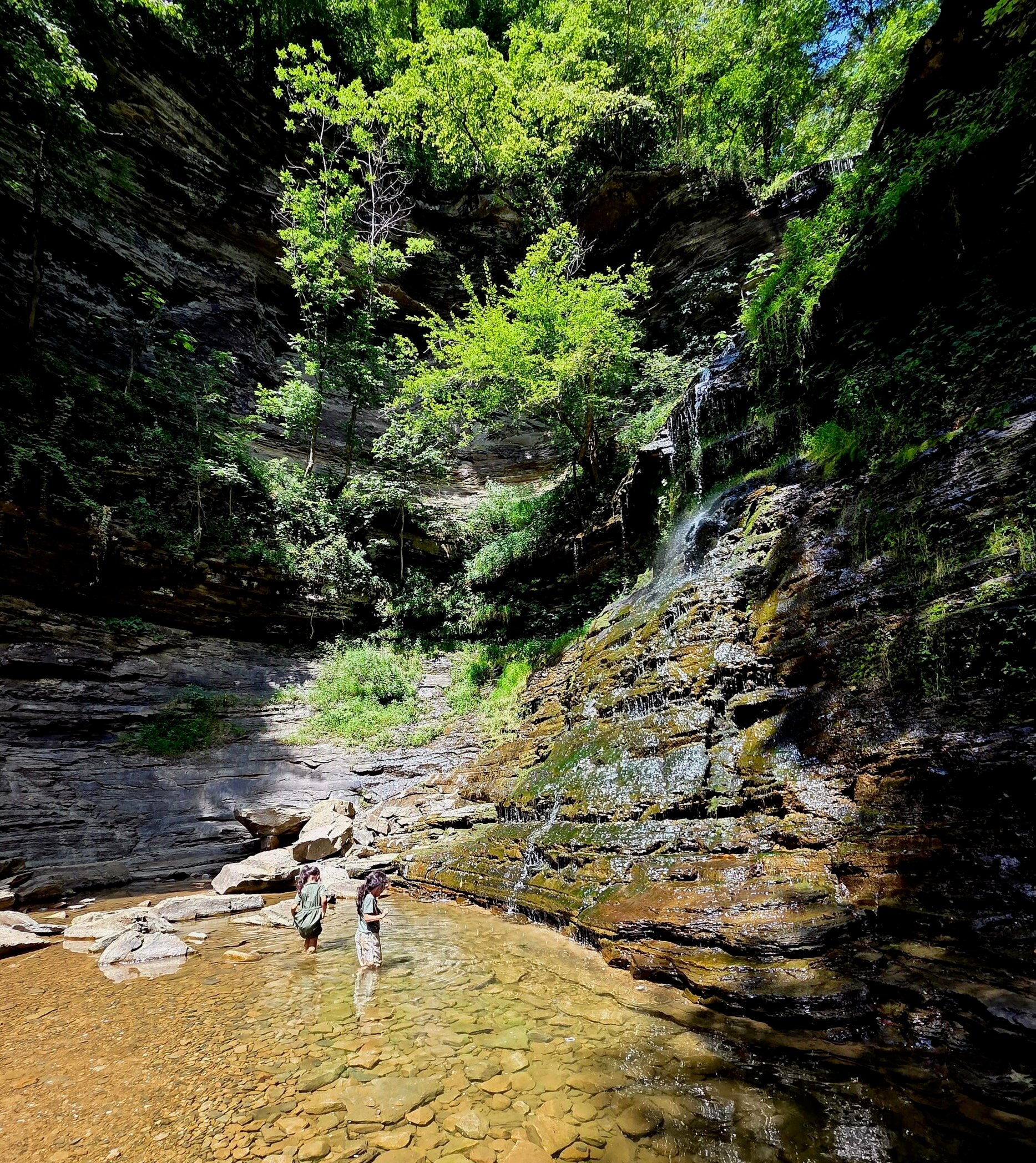 cathedral falls West Virginia